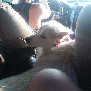 Meet your Posher, Elijah